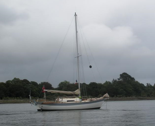 31750454220_c22973672d_z