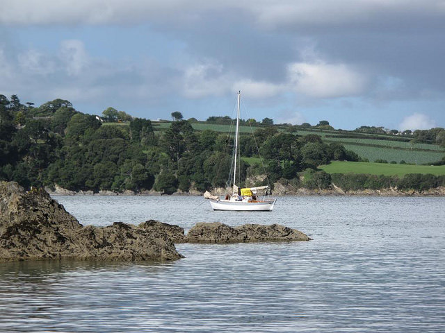 31933993191_8efb4ba9b9_z