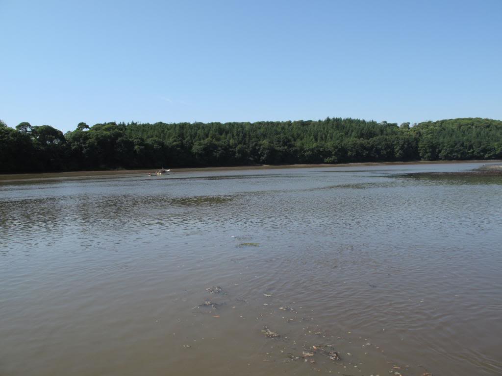 img_1279_zps5a780185