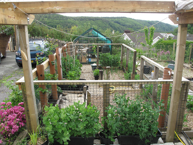 18206930906_70120793b9_z