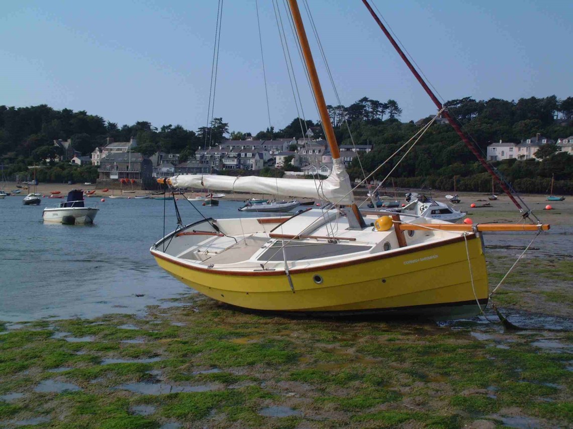 yellow-shrimper-dried-out-at-rock-2