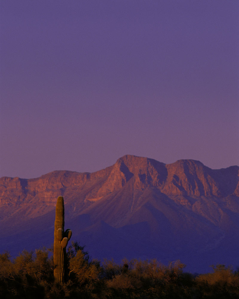 800px-View_in_Cabeza_Prieta_National_Wildlife_Refuge,_Arizona